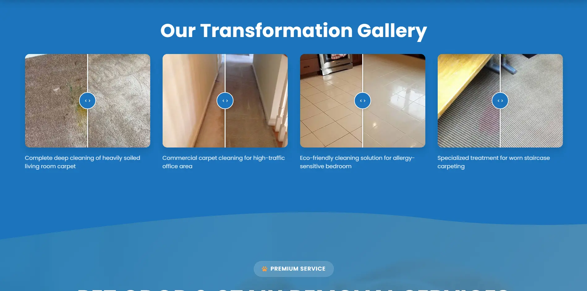 Greenworks Carpet Cleaning project view 1