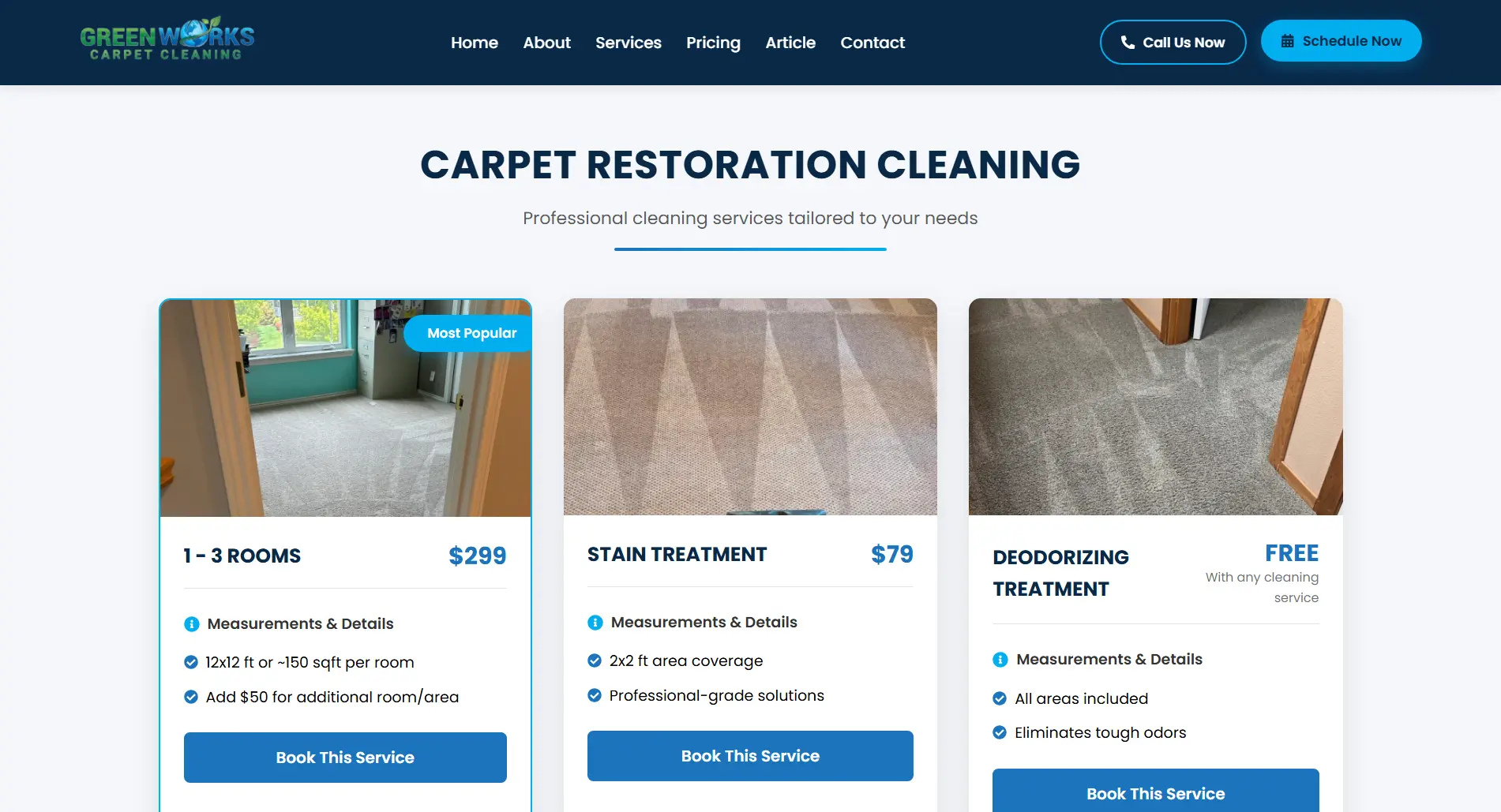 Greenworks Carpet Cleaning project view 2