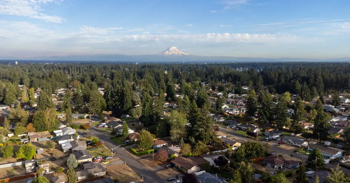 Seattle Businesses Need More Than Pretty Websites