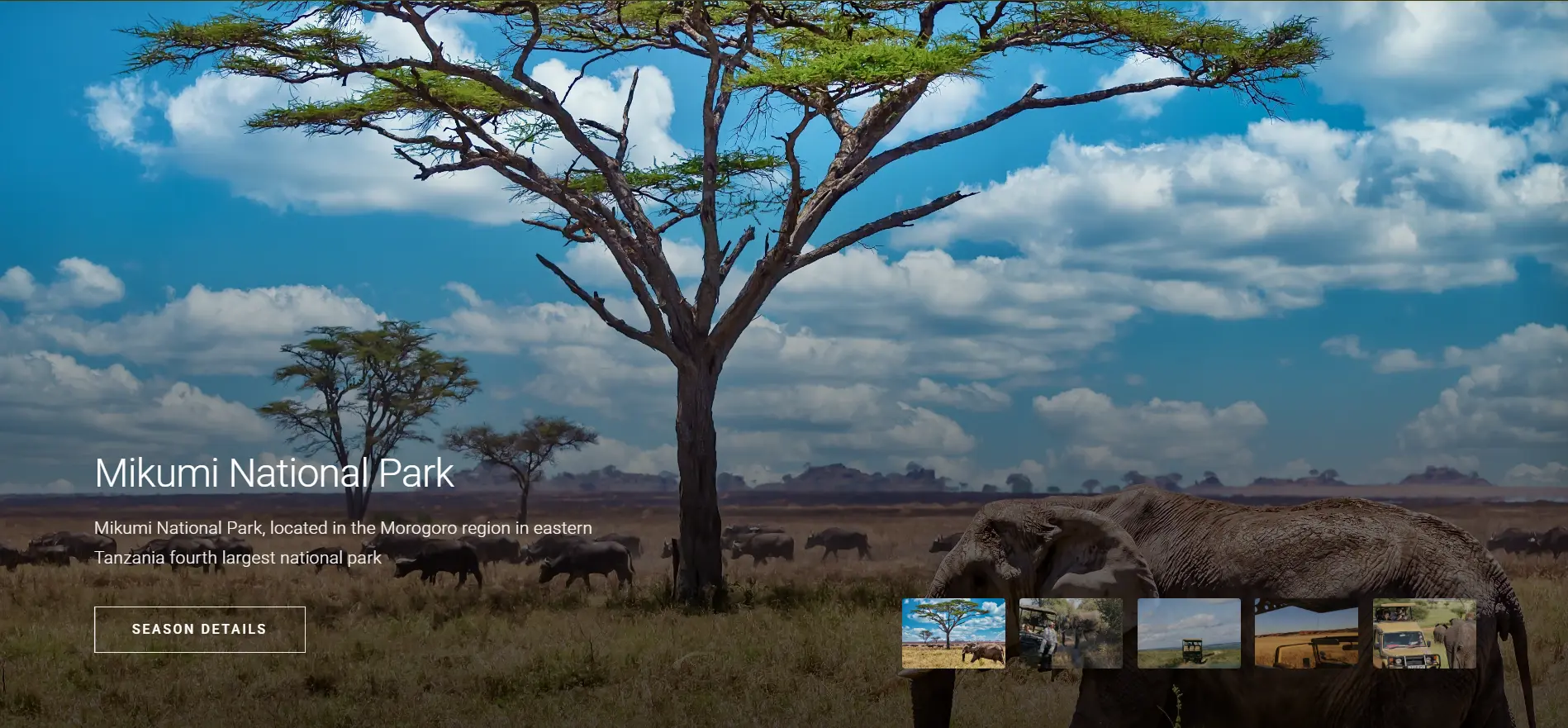 Nashivai Safaris project view 2